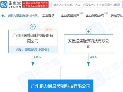 鹏辉能源参股成立储能科技新公司，注册资本达1亿元，拓展信息系统集成服务