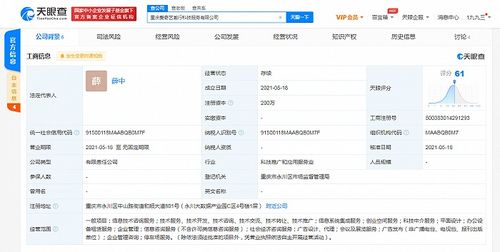 爱奇艺在重庆成立科技公司，拓展创业空间与信息系统集成服务